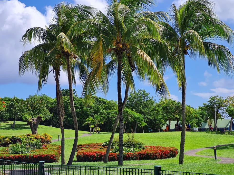 Garden, Garden view