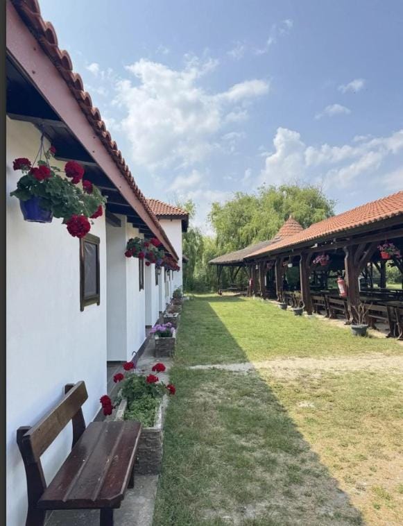 Casa Pescareasca - Complex Plaja Golf Bed and Breakfast in Constanța County