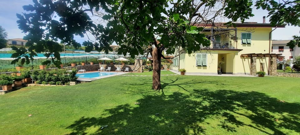 Garden, Swimming pool