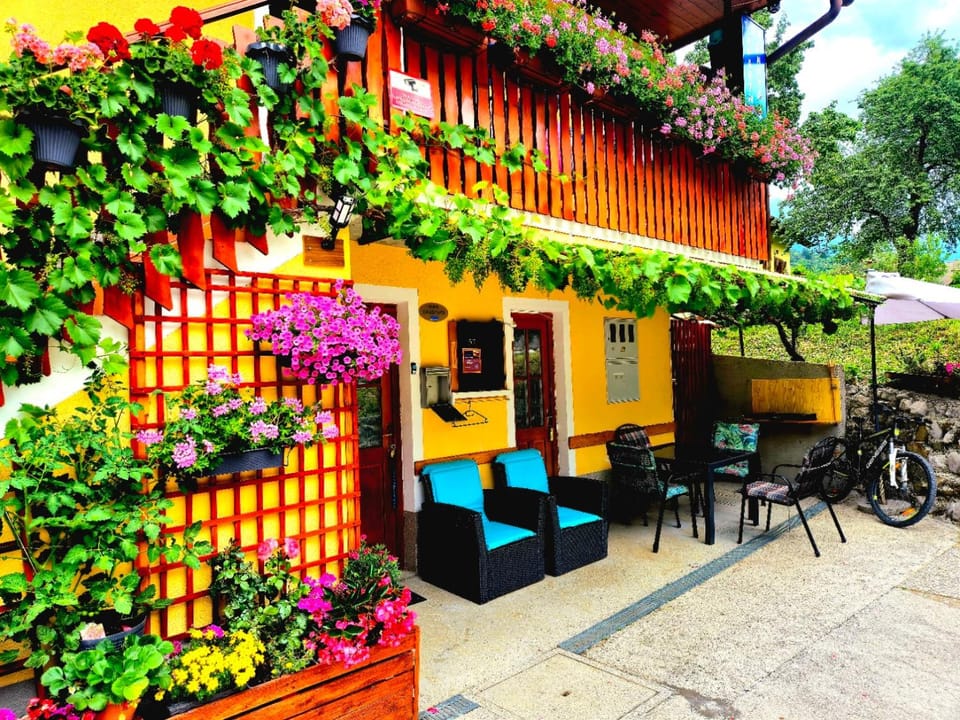 Patio, Garden