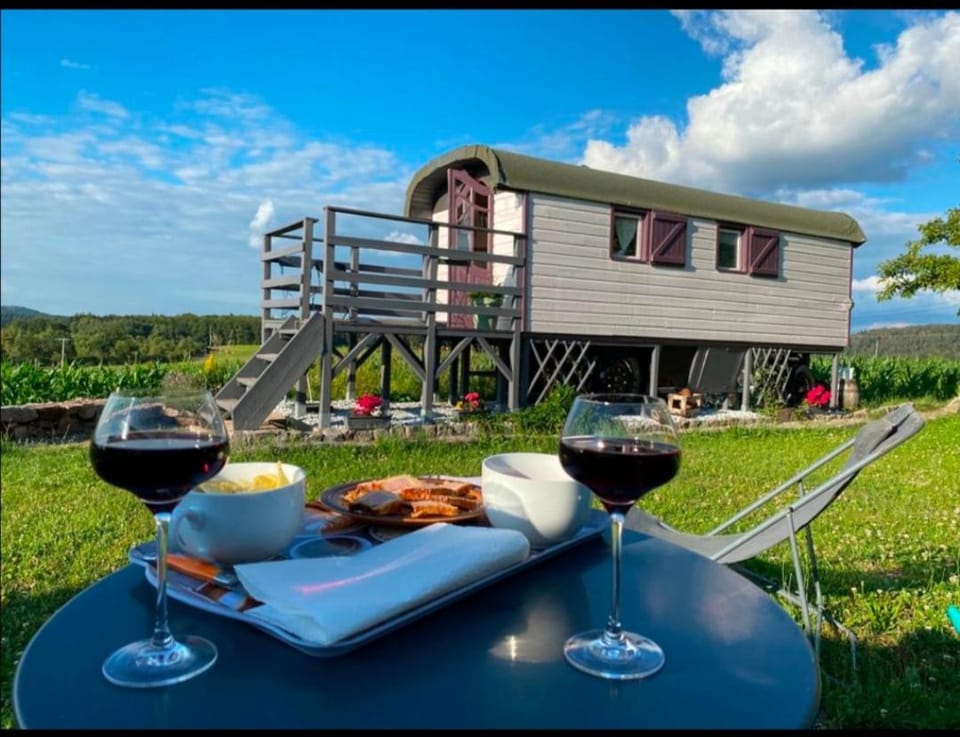 Day, Natural landscape, Garden, Food, Garden view, Drinks