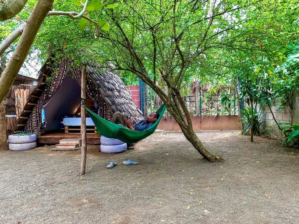 Arusha Jua Eco Home- on coffee farm Hostel in Tanzania