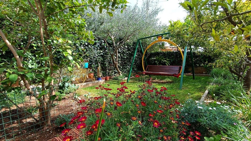 Spring, Day, Garden, Garden view