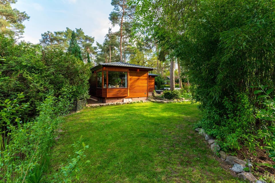 Day, Garden, Garden view
