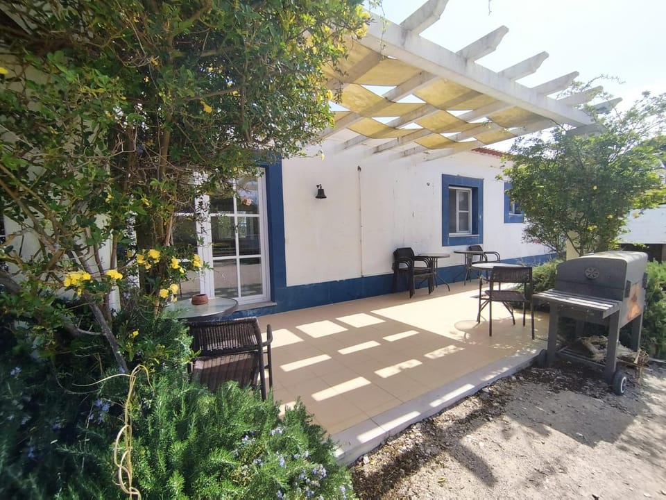 Patio, Garden