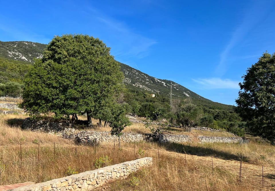 Natural landscape, Mountain view