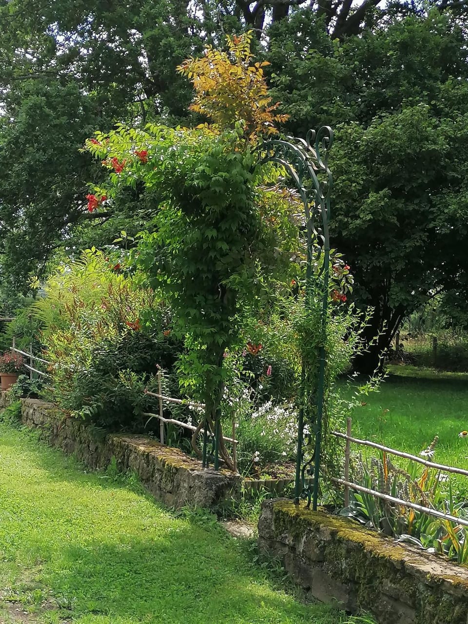 Garden, Garden view