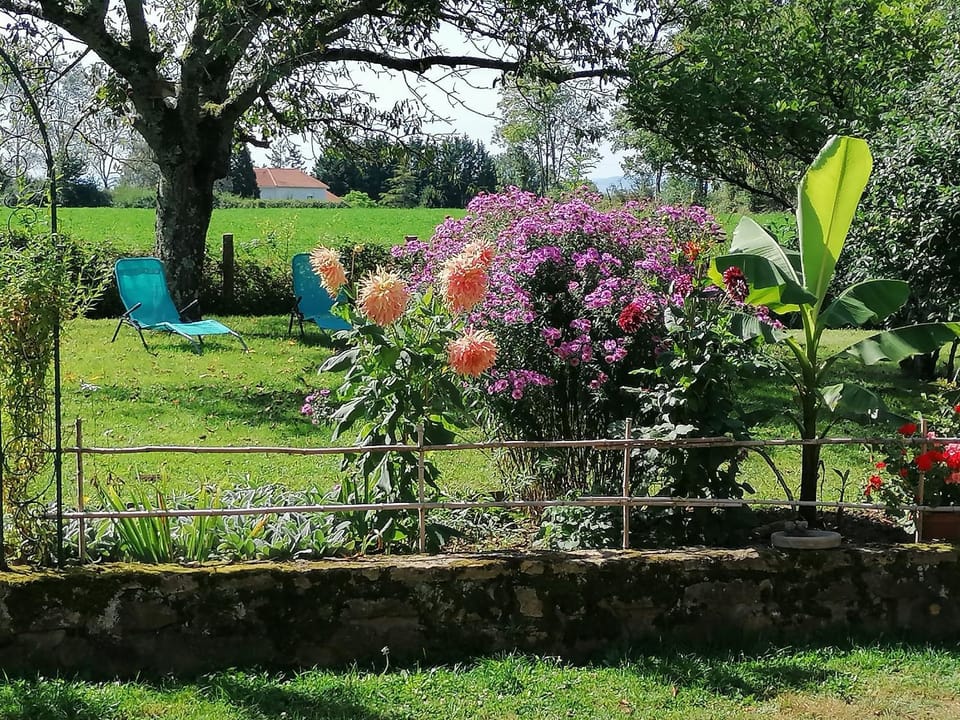 Property building, Garden, Garden view