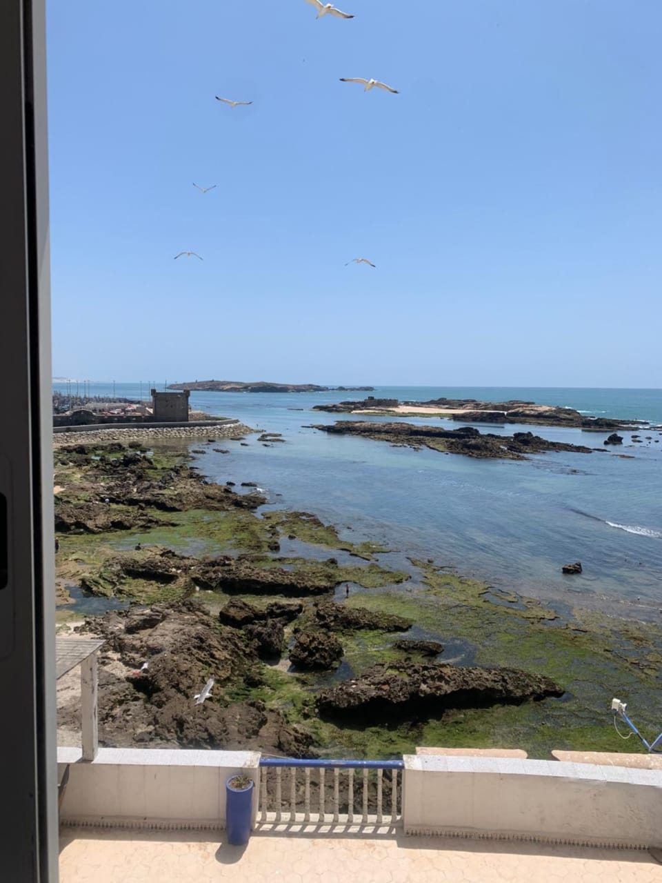 Riad Zamrani Bed and Breakfast in Essaouira