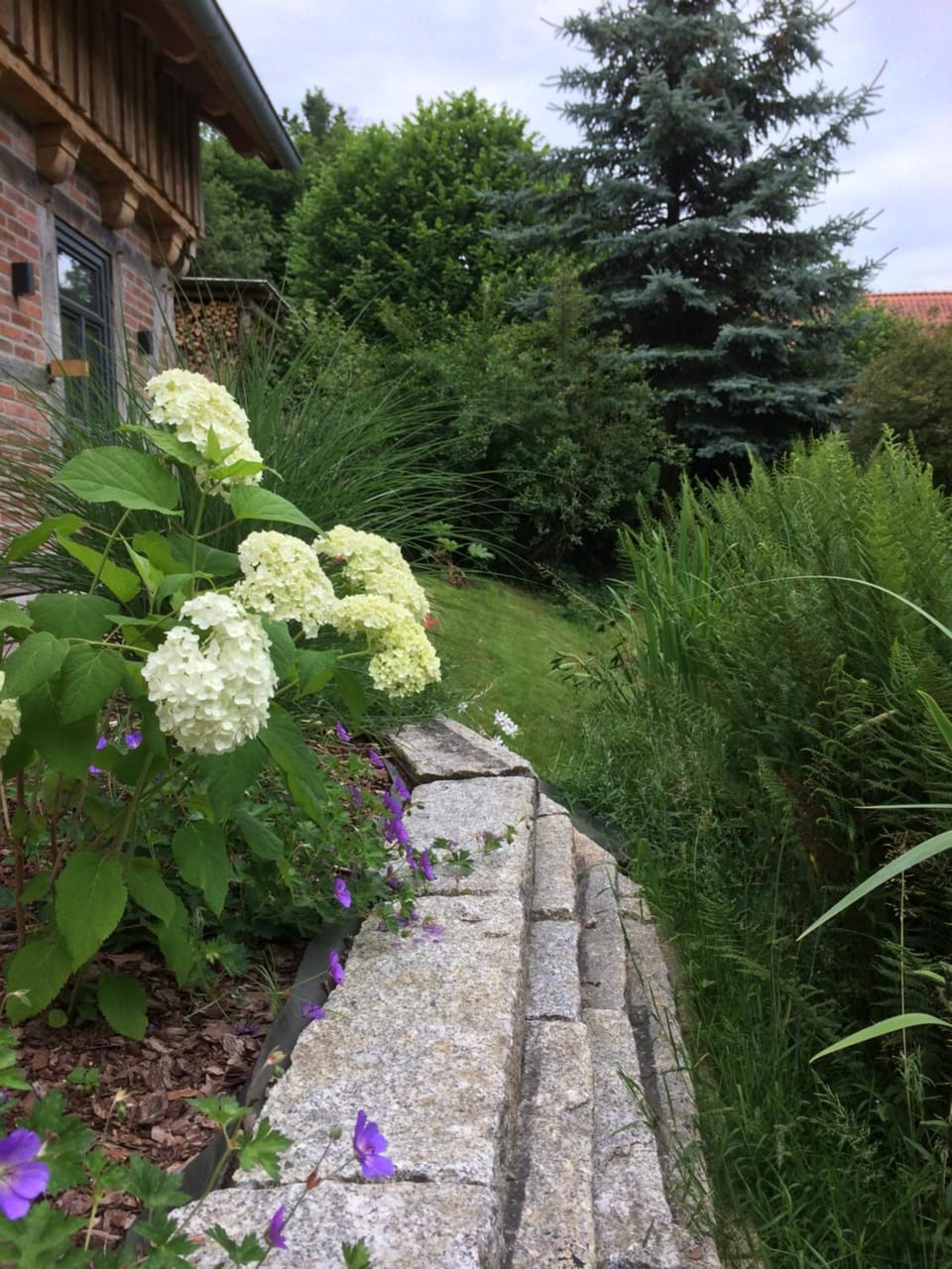 Garden view