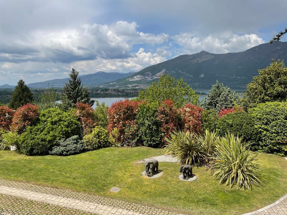 Garden, Mountain view