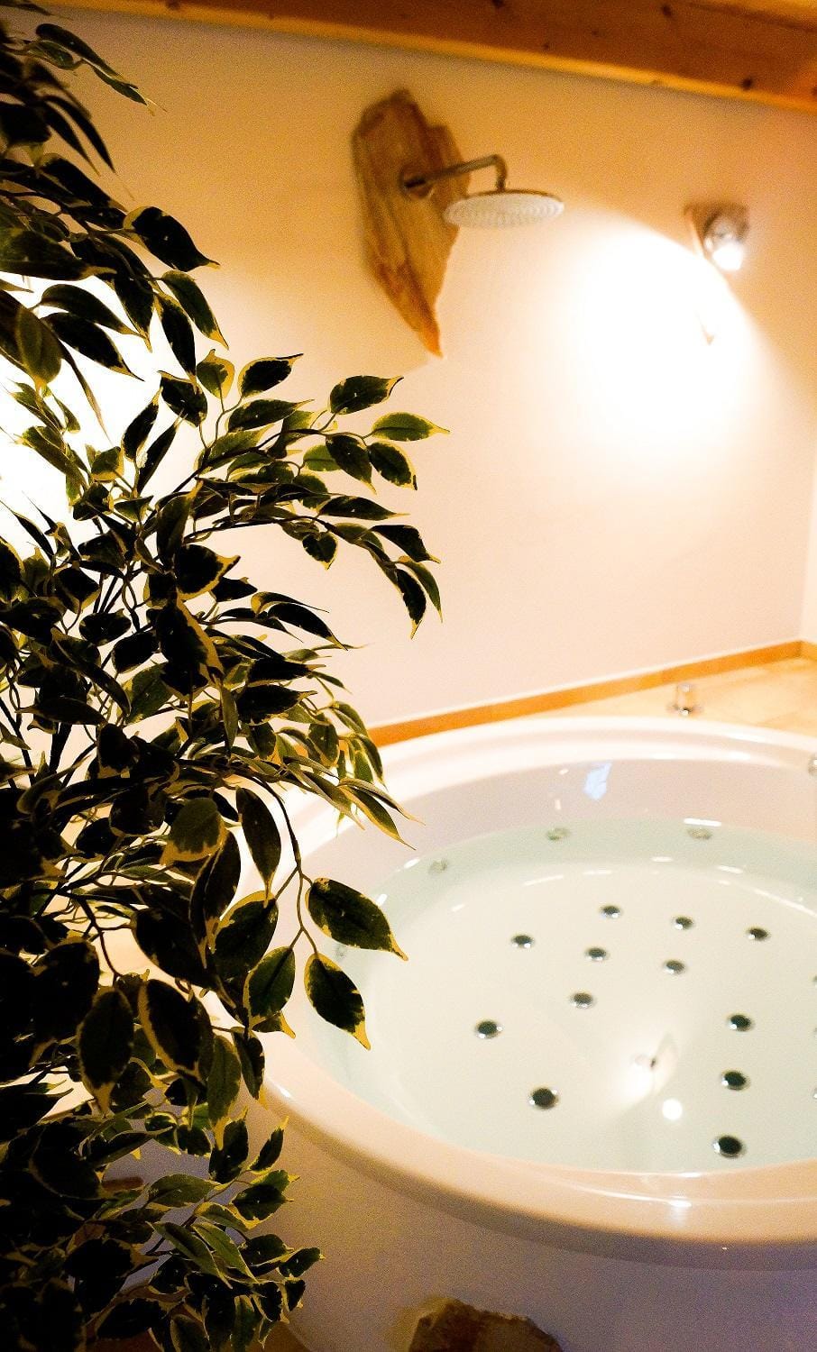 Shower, Hot Tub