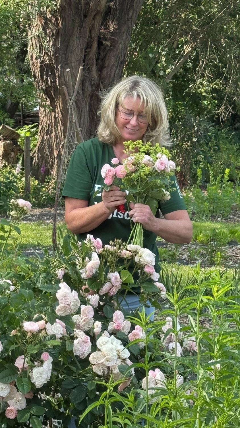 Spring, People, Garden, Garden view