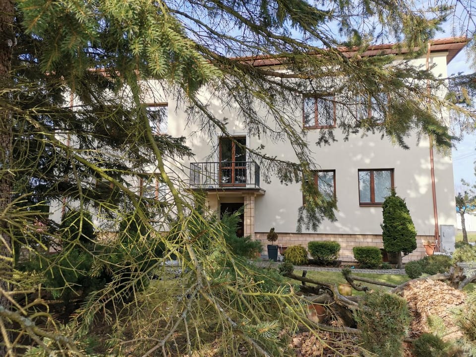Property building, Garden, Garden view