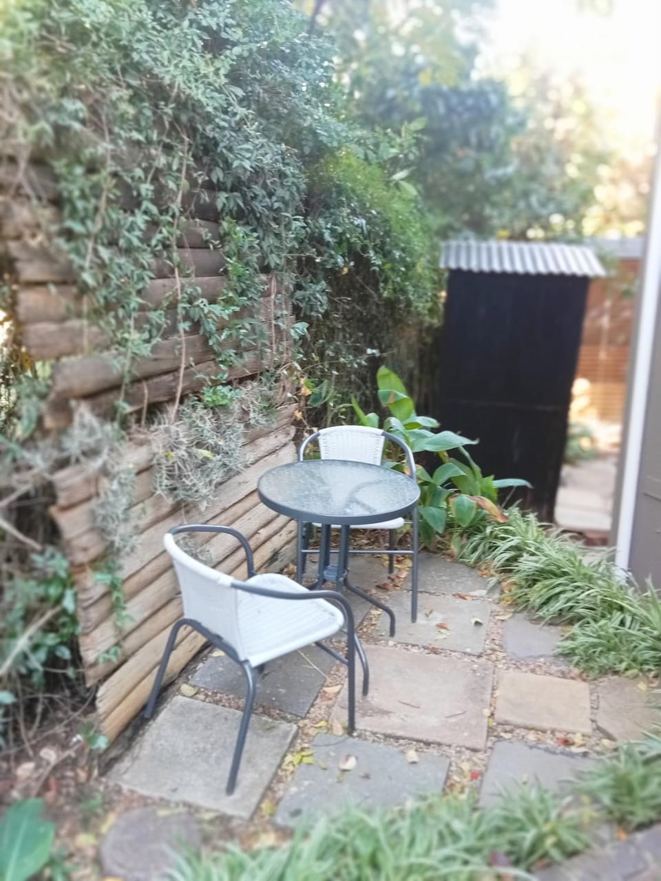 Big Oak Cosy Cottage Apartment in Sandton