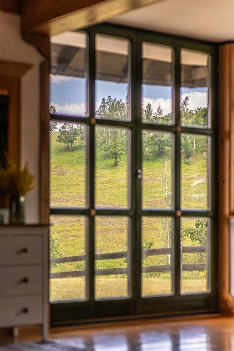 Garden view