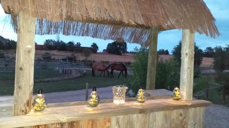 Soirée romantique avec Bain Nordique sur Domaine Equestre, Studio Tout Confort House in Jura