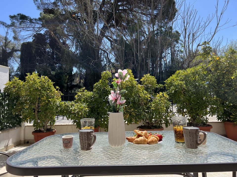 Garden, Garden