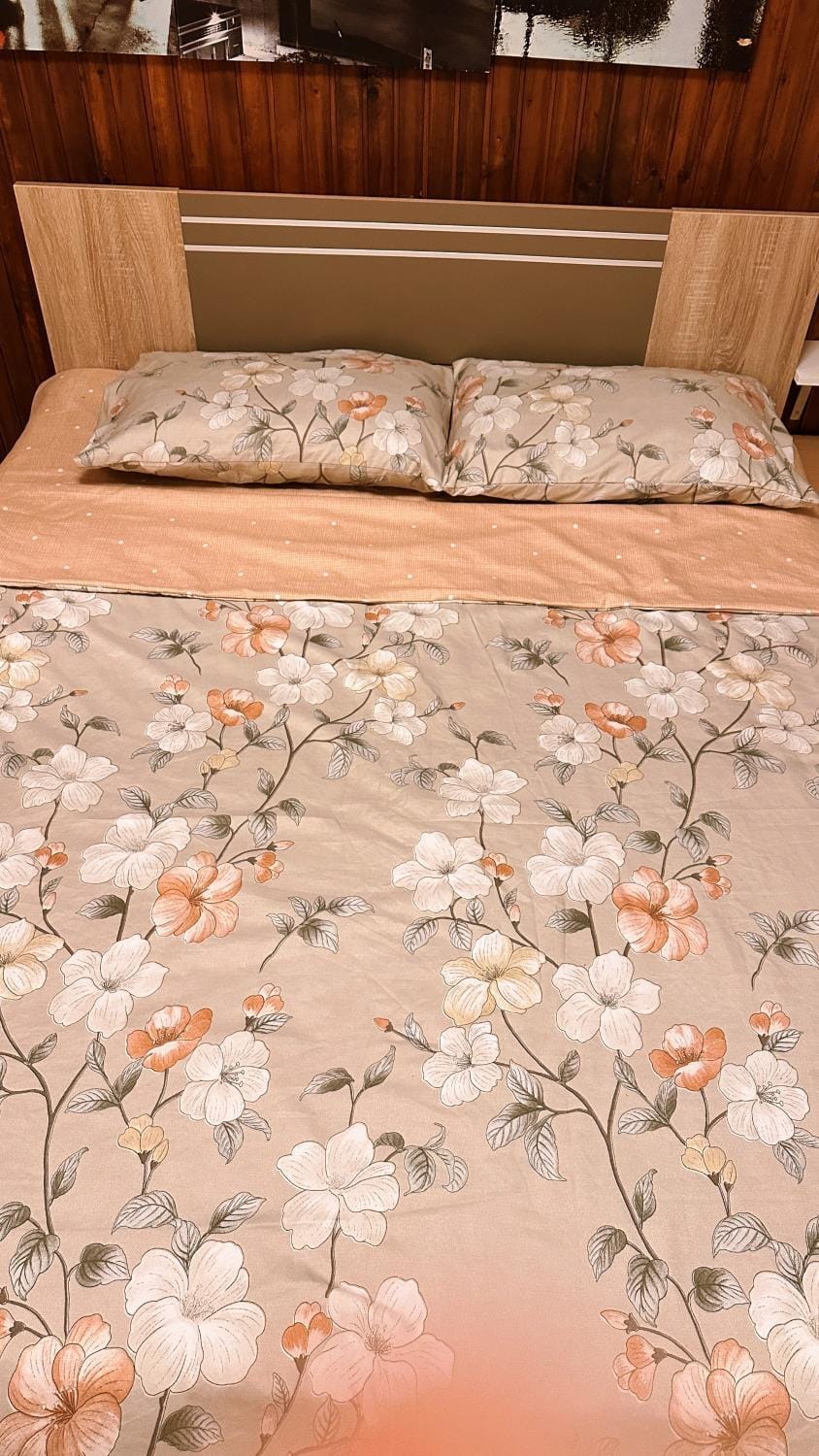 Villa Garden Villa in Serbia