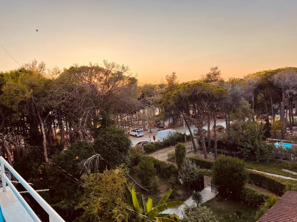 Garden view, Street view, Sunset