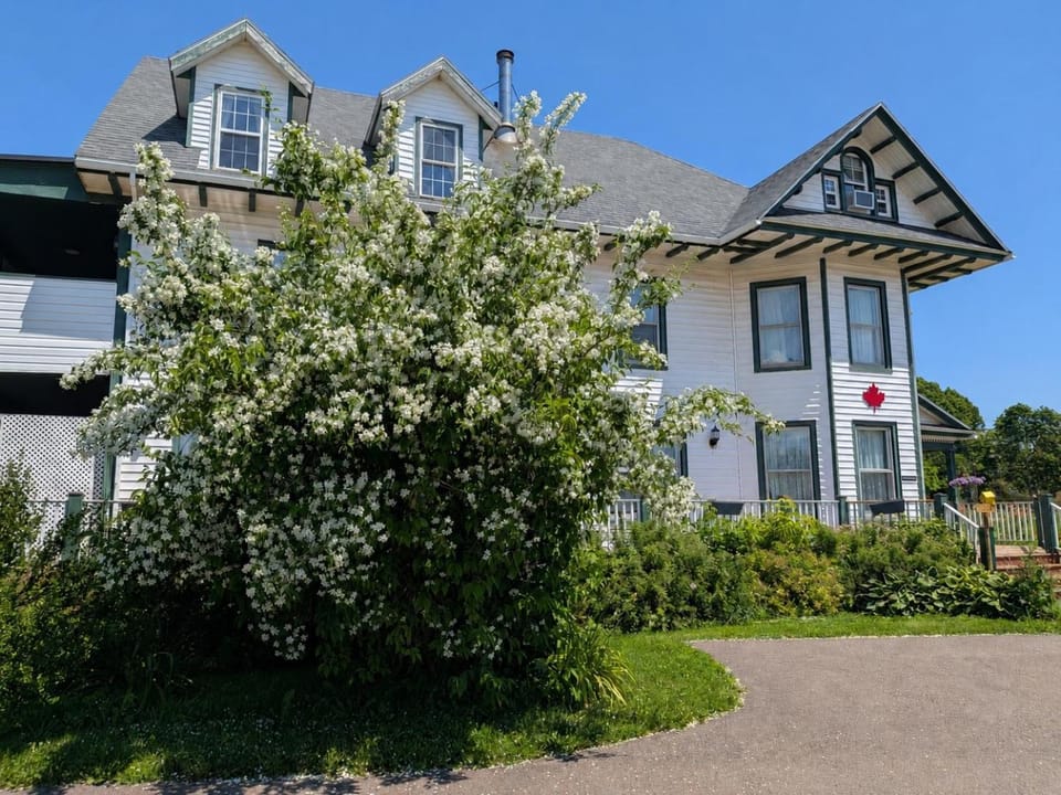 Prince County Guest House Bed and Breakfast in Prince Edward County