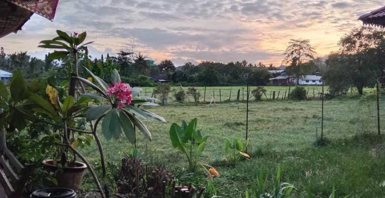Langkawi Country Lodge Bed and Breakfast in Kedah