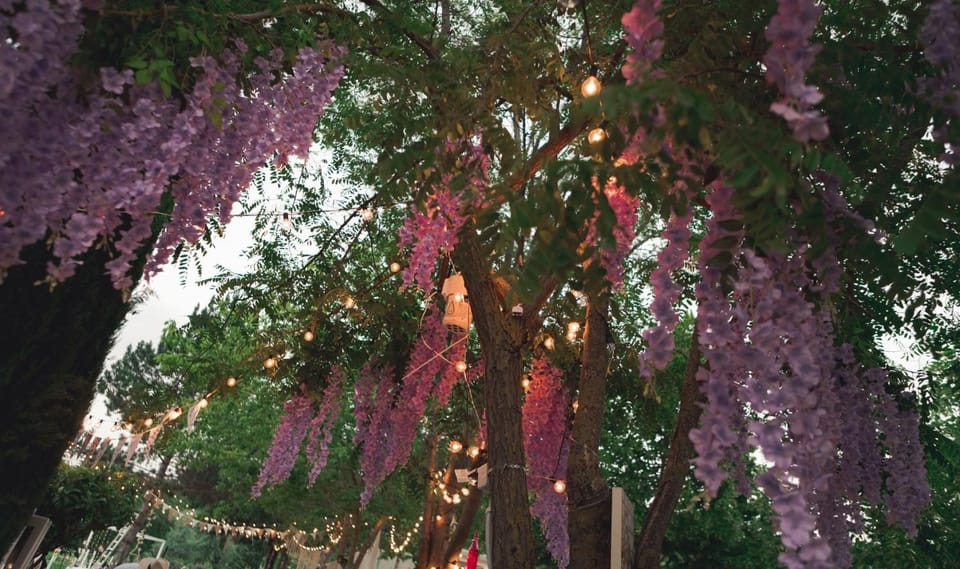 Fontepino Apartment hotel in Umbria