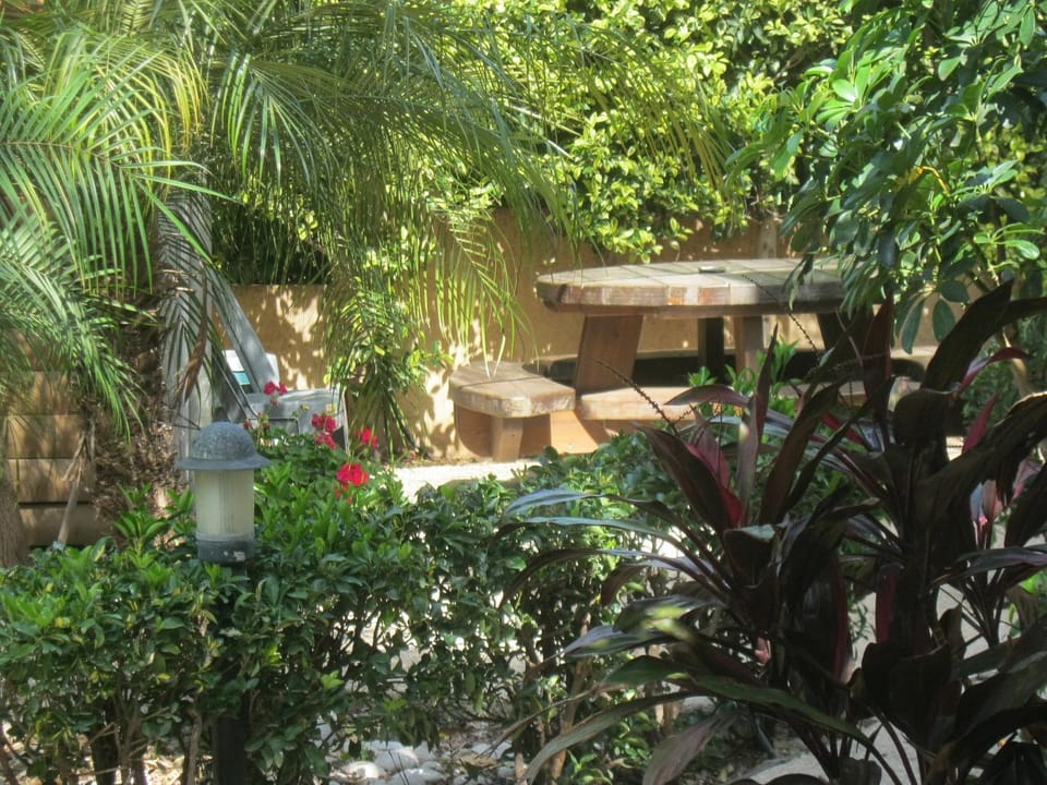 Garden view
