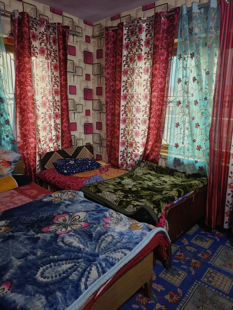 Queen Palace guest house Bed and Breakfast in India