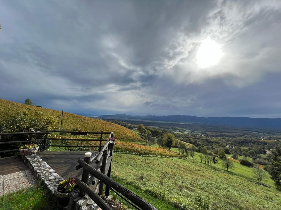 Vineyard cottage Skriti raj House in Slovenia