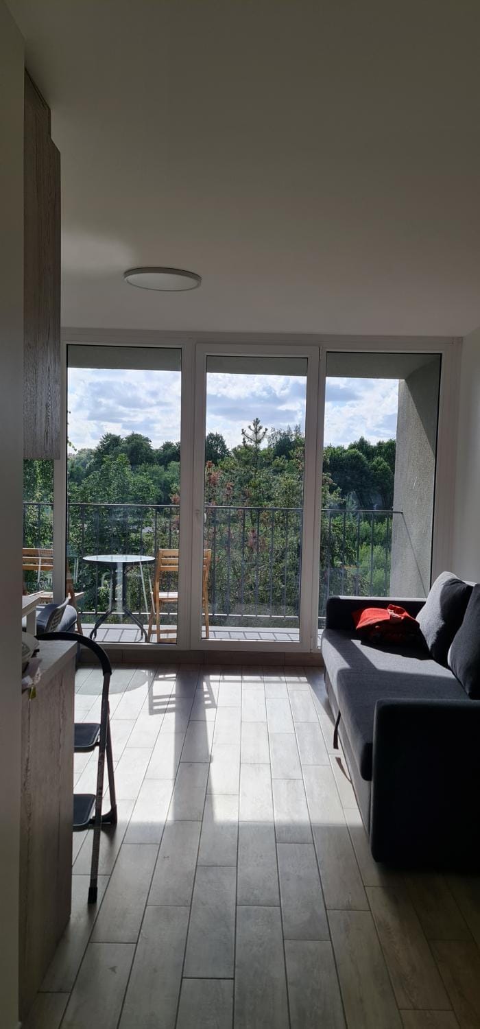 Vieno kambario butas studija Šventojoje Apartment in Palanga