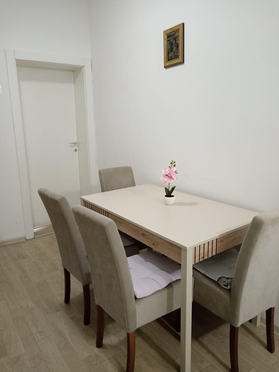 Apartman TATTOO R Apartment in Serbia