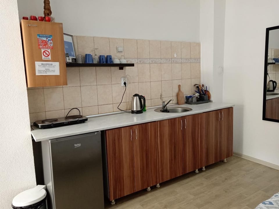 Apartman TATTOO R Apartment in Serbia