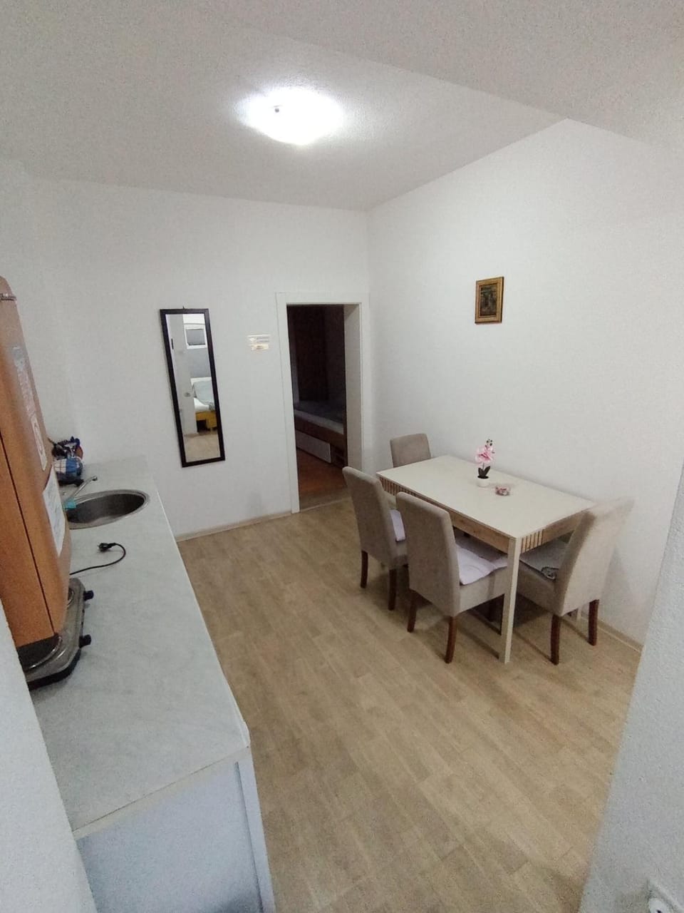 Apartman TATTOO R Apartment in Serbia