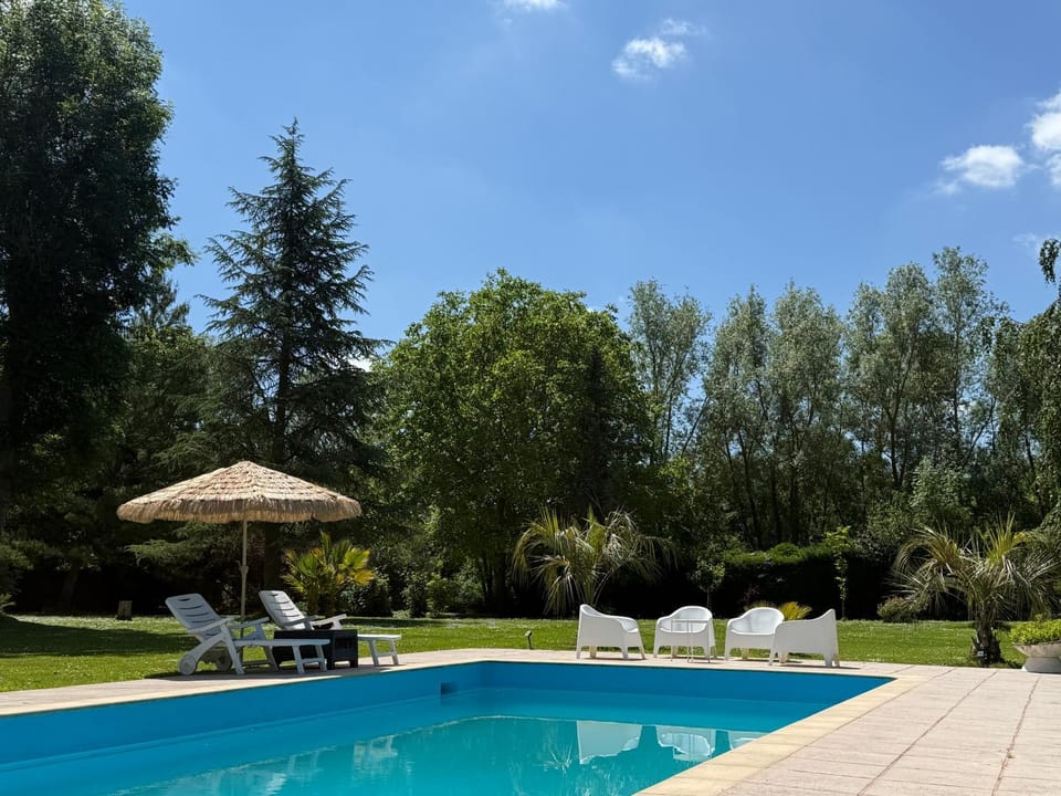 Garden, Garden view, Pool view, Swimming pool, sunbed