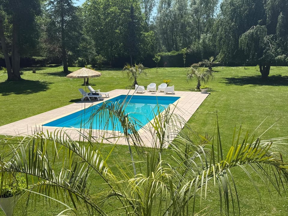 Garden, Garden view, Pool view, Swimming pool, sunbed