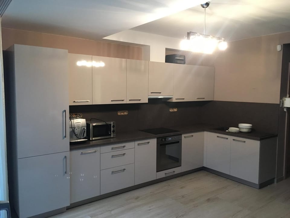 Kitchen or kitchenette, minibar, pet friendly, stove, toaster