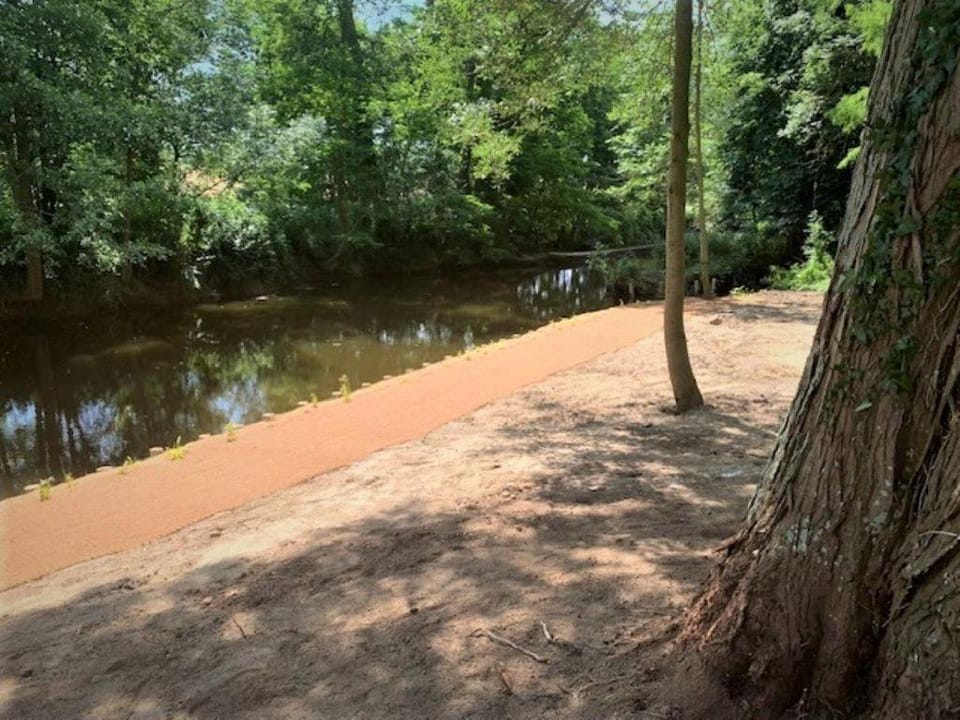 Natural landscape, River view