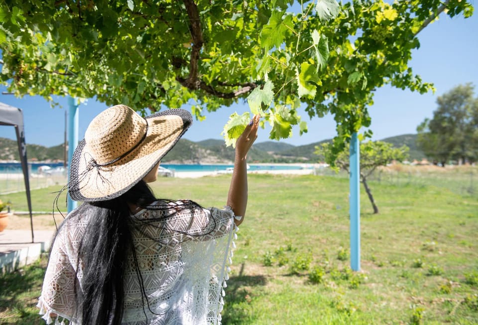 Garden, Sea view, Sea view