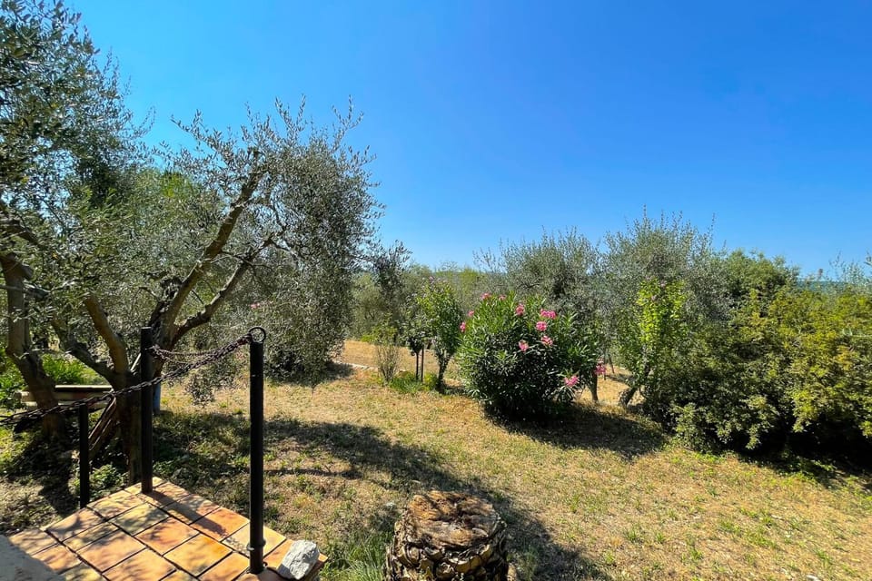 Provençal farmhouse 6 guests Peymeinade near Cannes House in French Riviera
