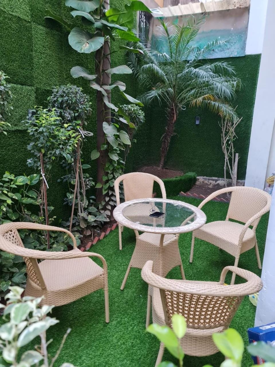 Garden view
