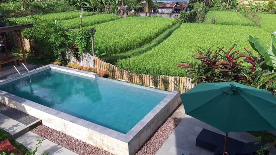 Garden, Swimming pool