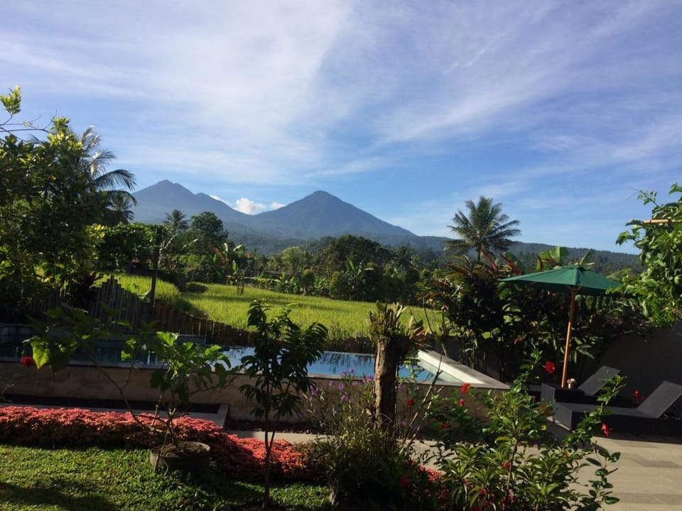 Summer, View (from property/room)