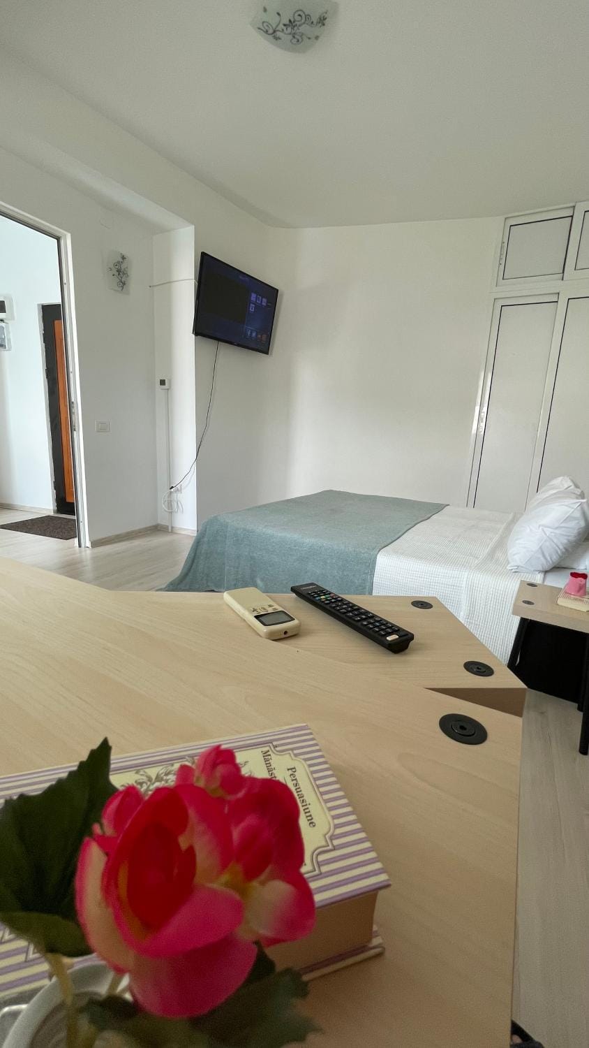 Old Center Studio Apartment in Bucharest