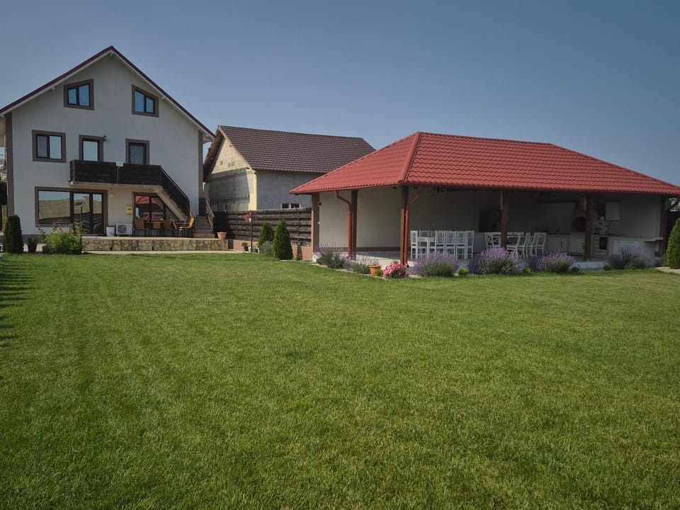CASA RIZEA House in Romania
