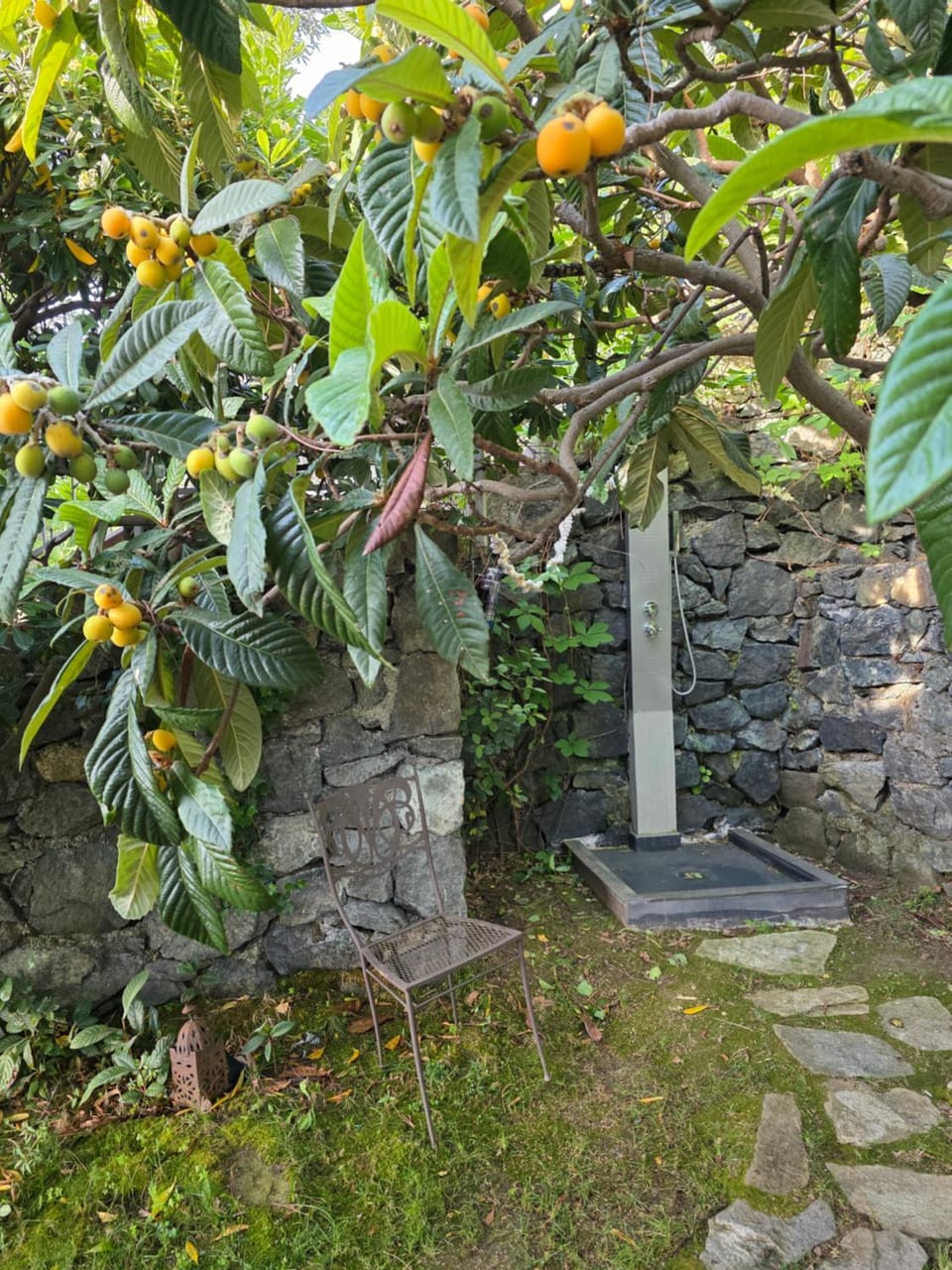 Villa Cokkinis fronte mare con ampio giardino Villa in Varazze