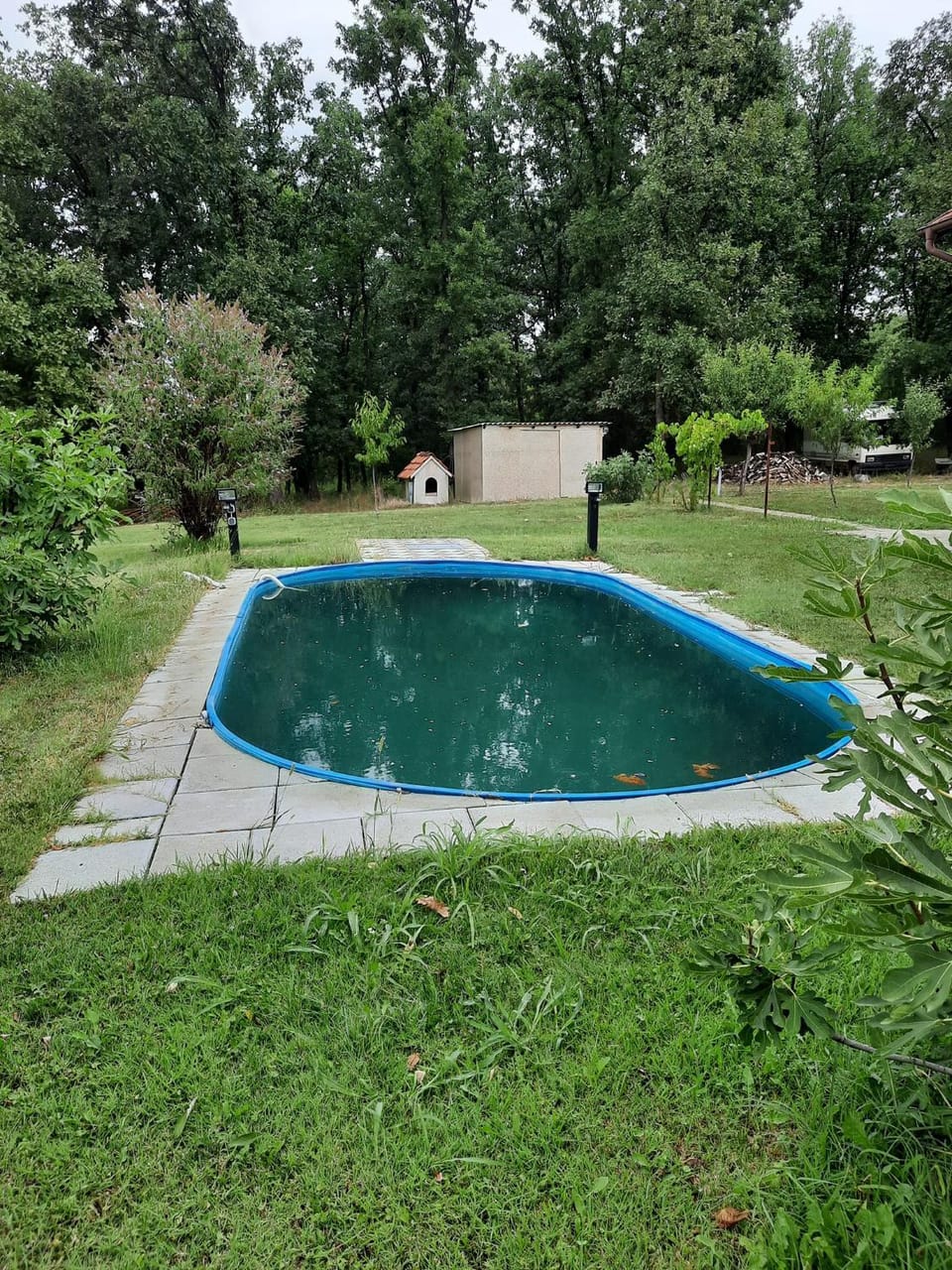 Spring, Day, Garden, Garden view, Pool view, Swimming pool, Swimming pool, Open Air Bath