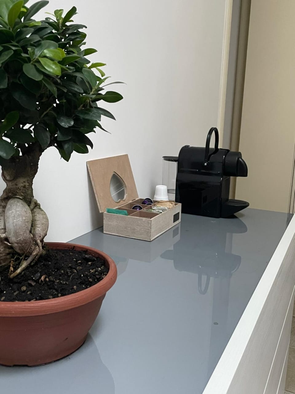 Coffee/tea facilities, hair dresser