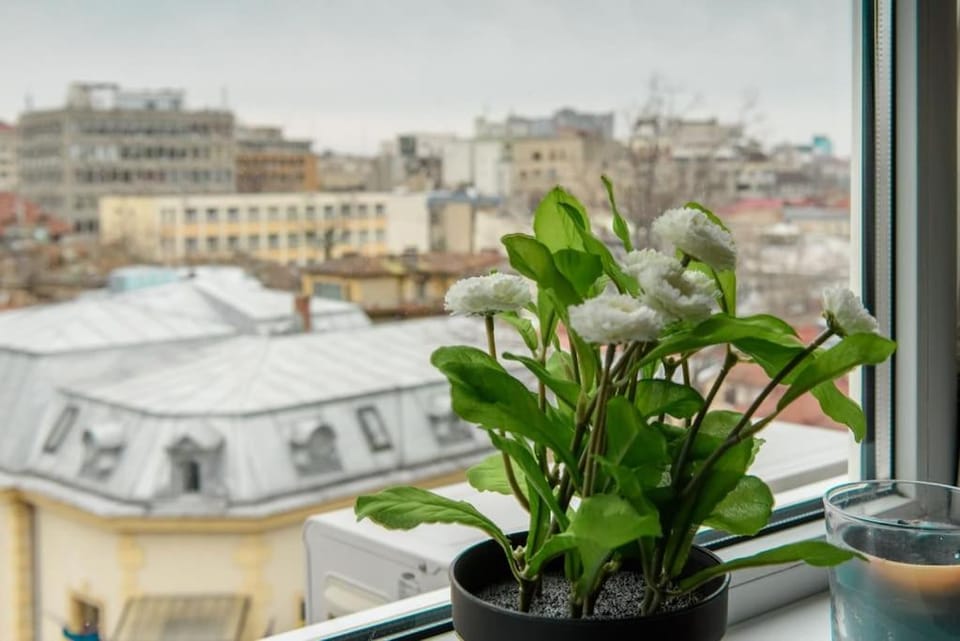 City view