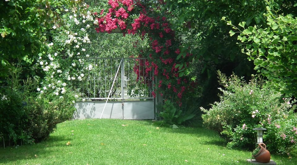 Garden, River view